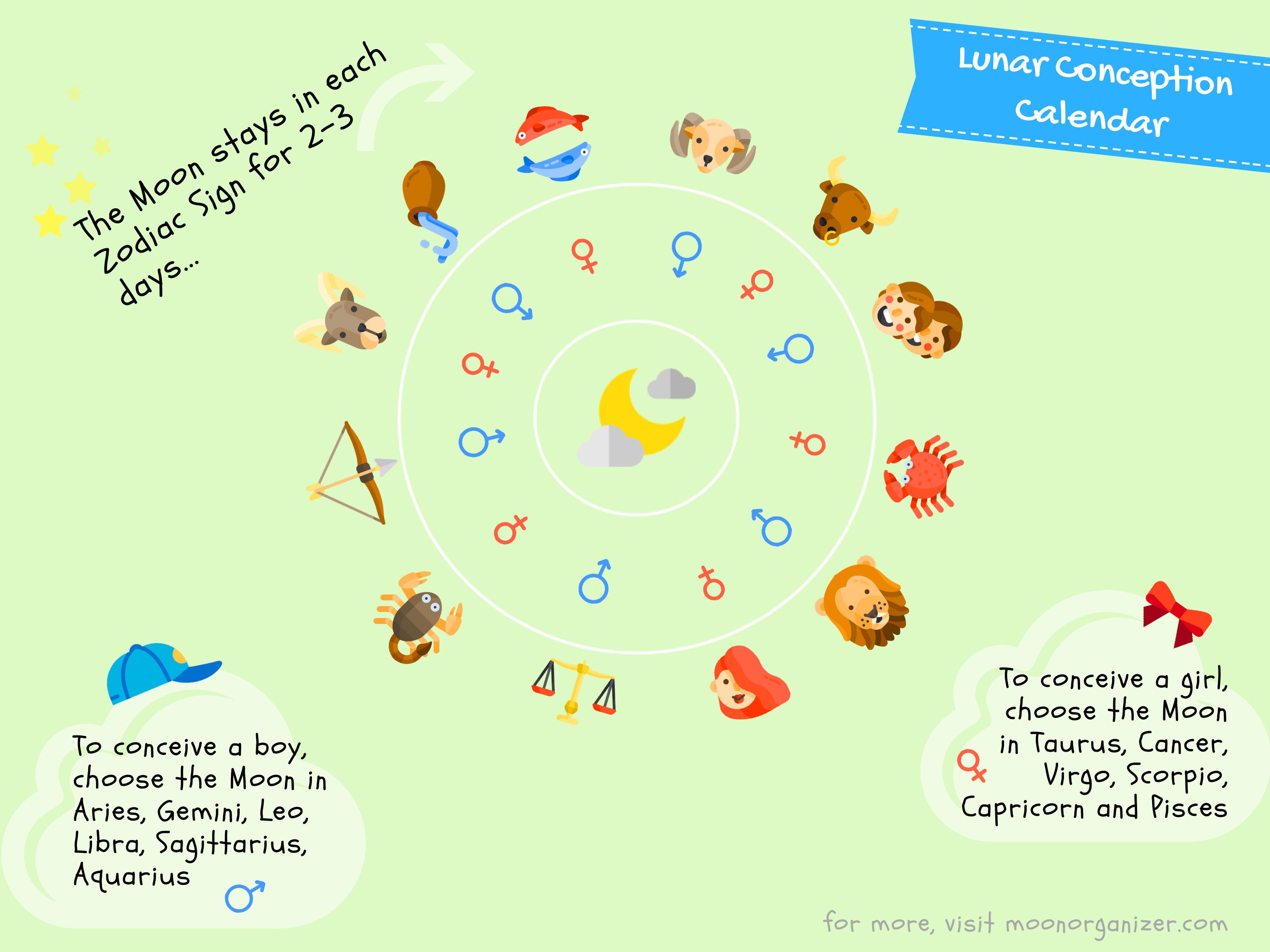 Conception Month Chart