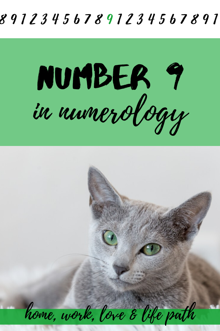 9 numerology