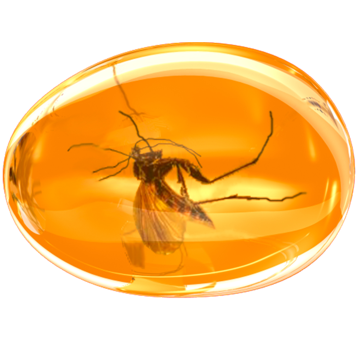 Amber magical properties - the tears of eternity