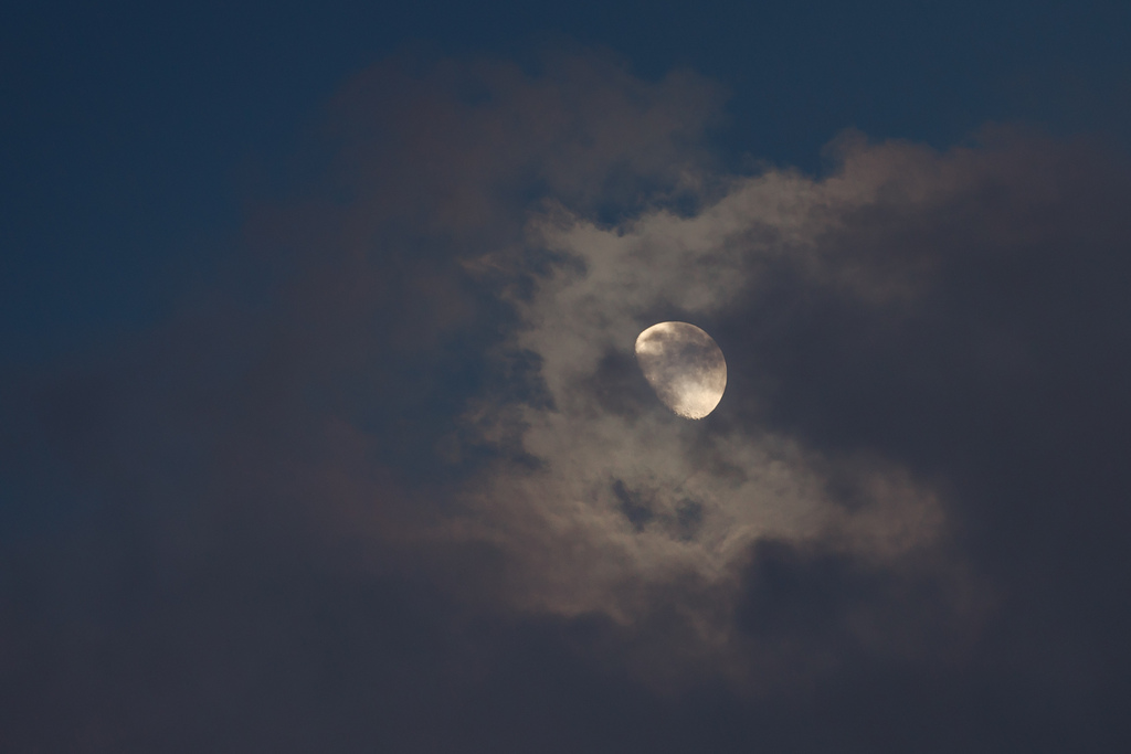 gibbous moon