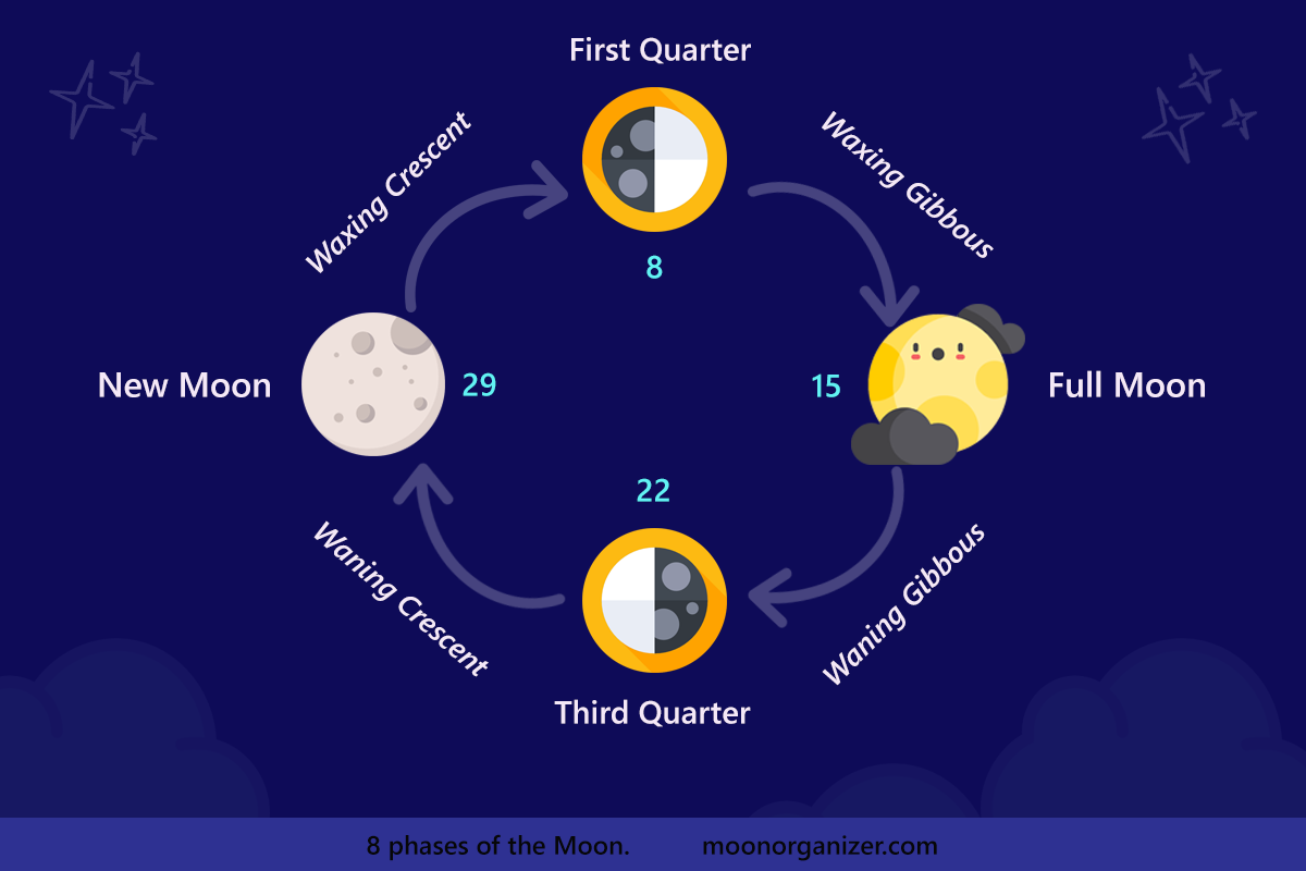 Moon Phases Infographic - all 8 phases of the Moon