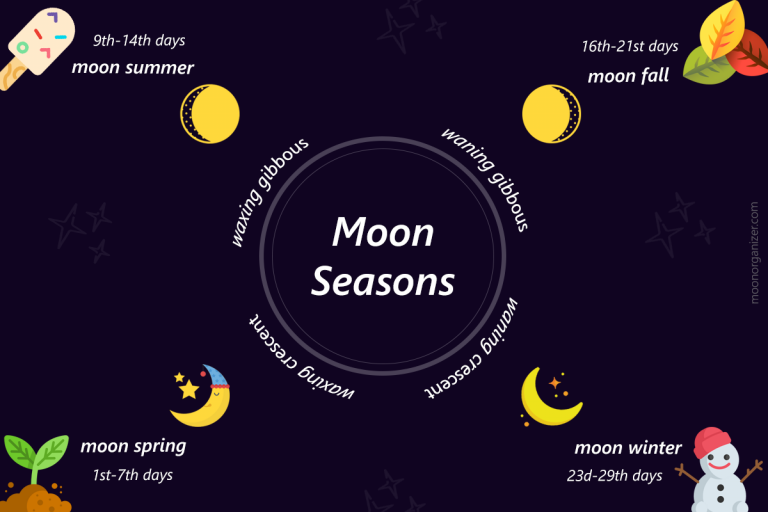 Moon seasons infographic stages of moon cycle